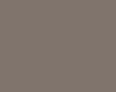Primary Warm Grey