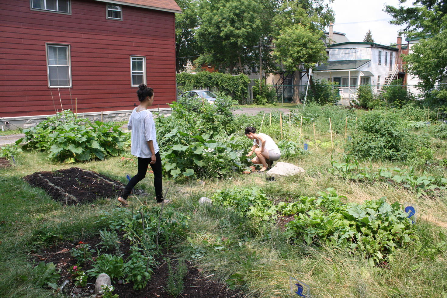 Community garden on campus.