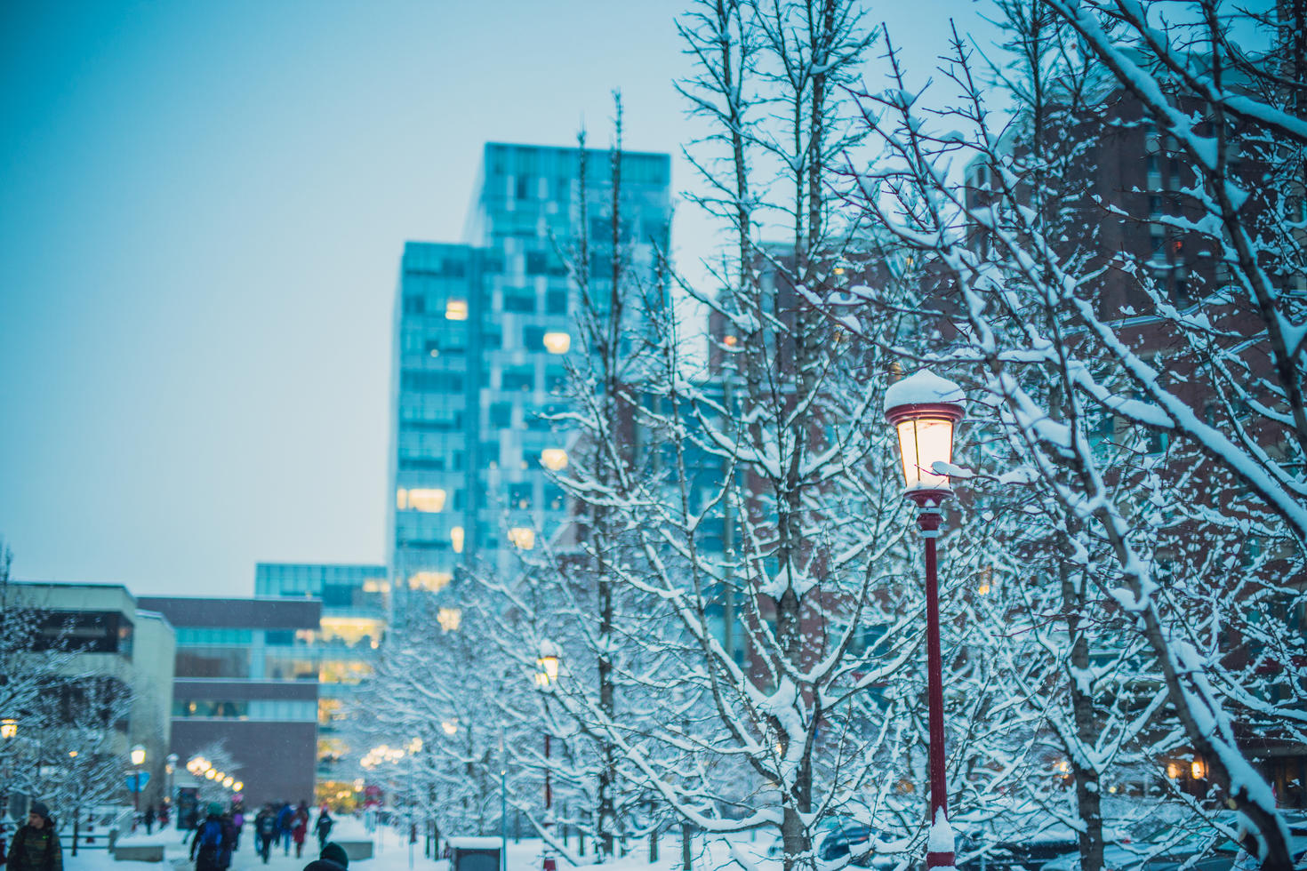 uOttawa campus in winter