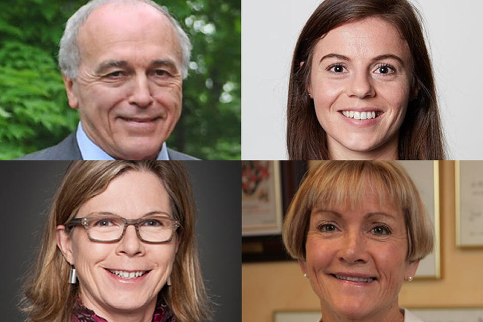 Collage of uOttawa researchers of study