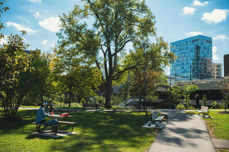 Green spaces on campus