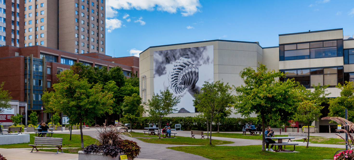 Green space on campus