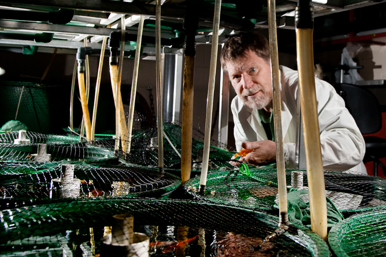 Professor Vance Trudeau overlooking aquariums