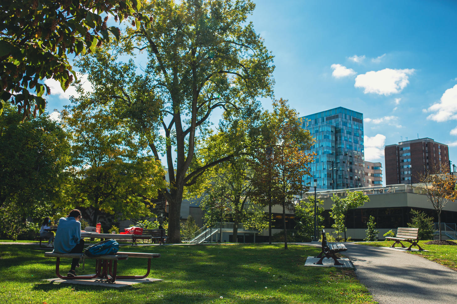 Le campus d'uOttawa en été
