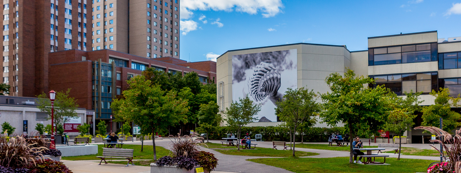 photo d'une partie du campus de l'Université d'Ottawa.