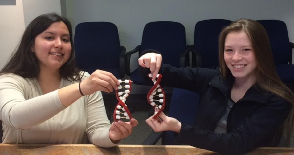 Deux jeunes filles participent à une actvitité pratique sur la science.