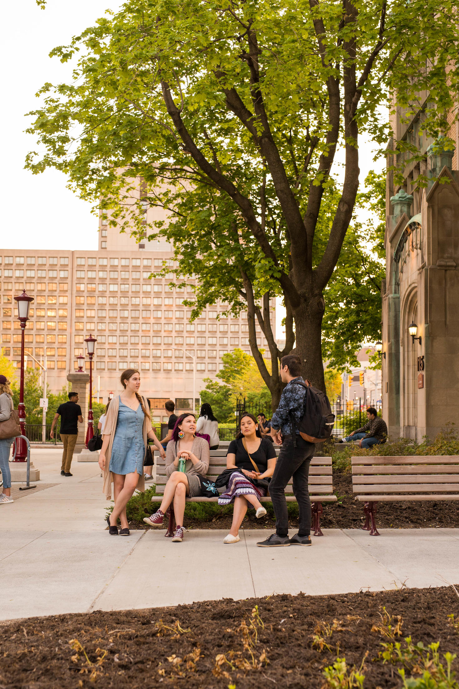Image shows four students speaking outside with a building and tree in the background. Two of the students are seated while the other two stand on opposite ends of the bench conversing with the group.