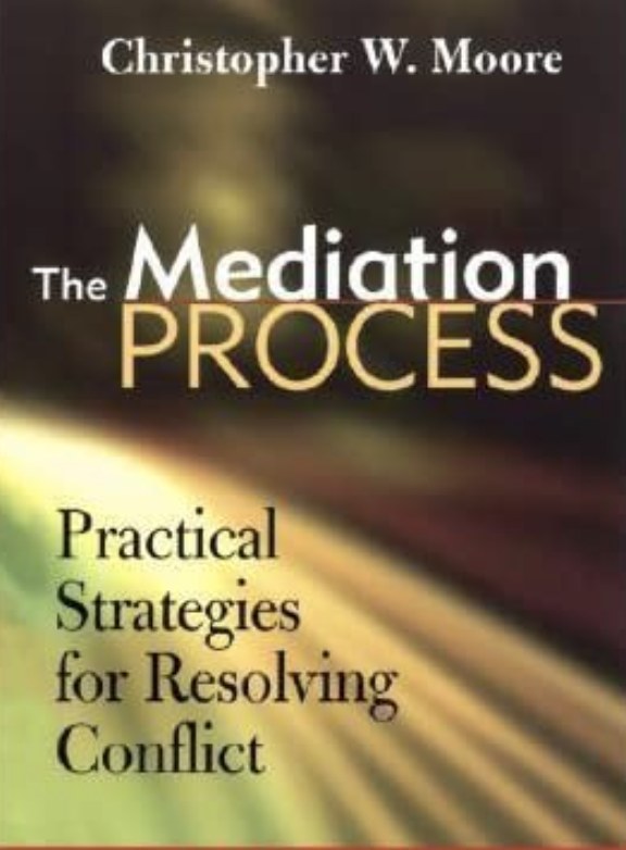 The Mediation Process book