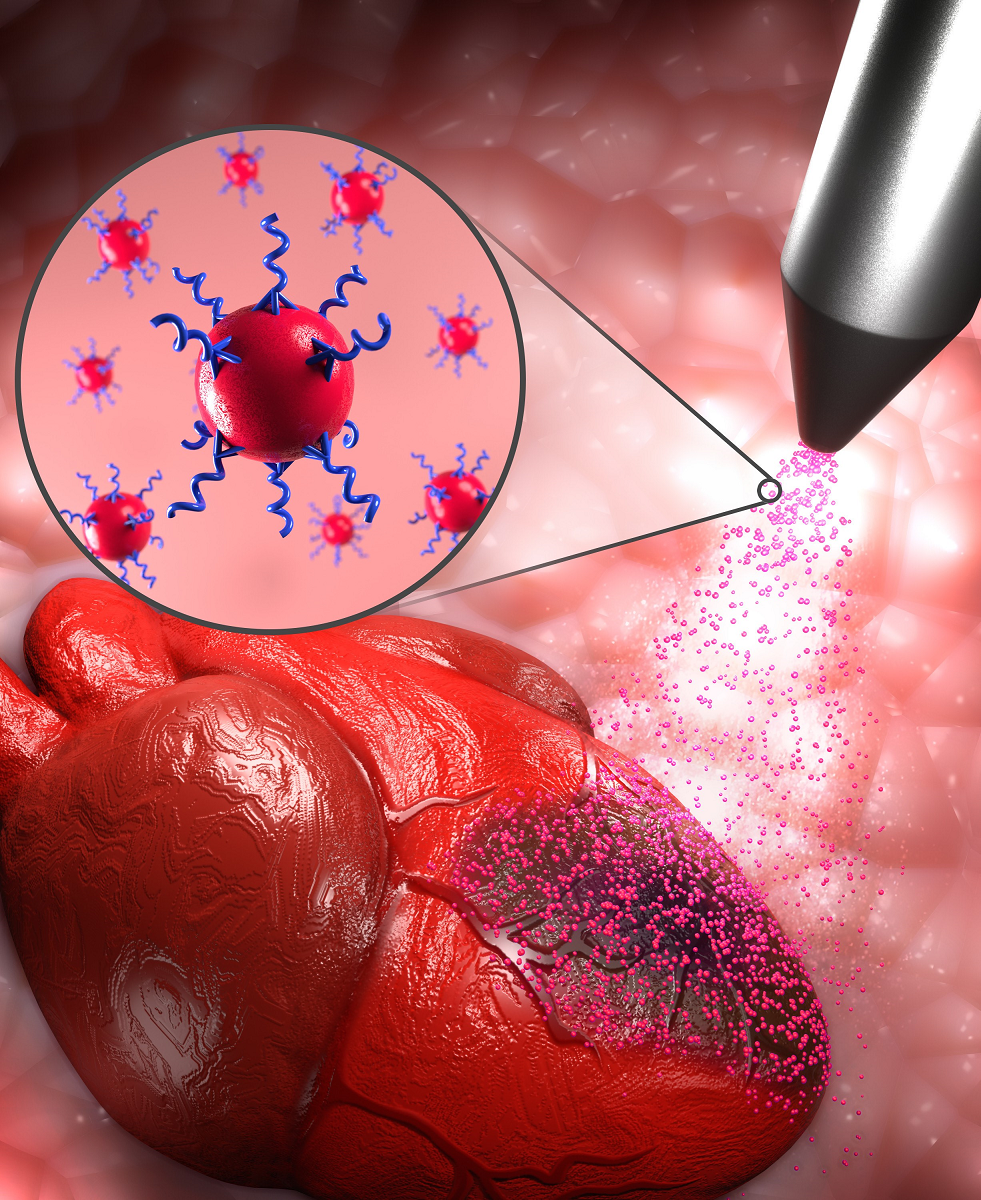 Example of particles being sprayed on a heart, protein focused on