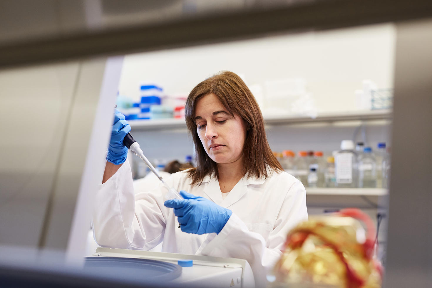Dr. Carolina Ilkow