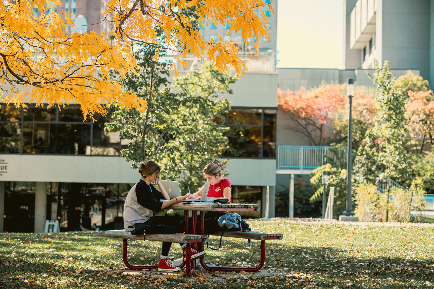 Two students working at a picnic table on campus