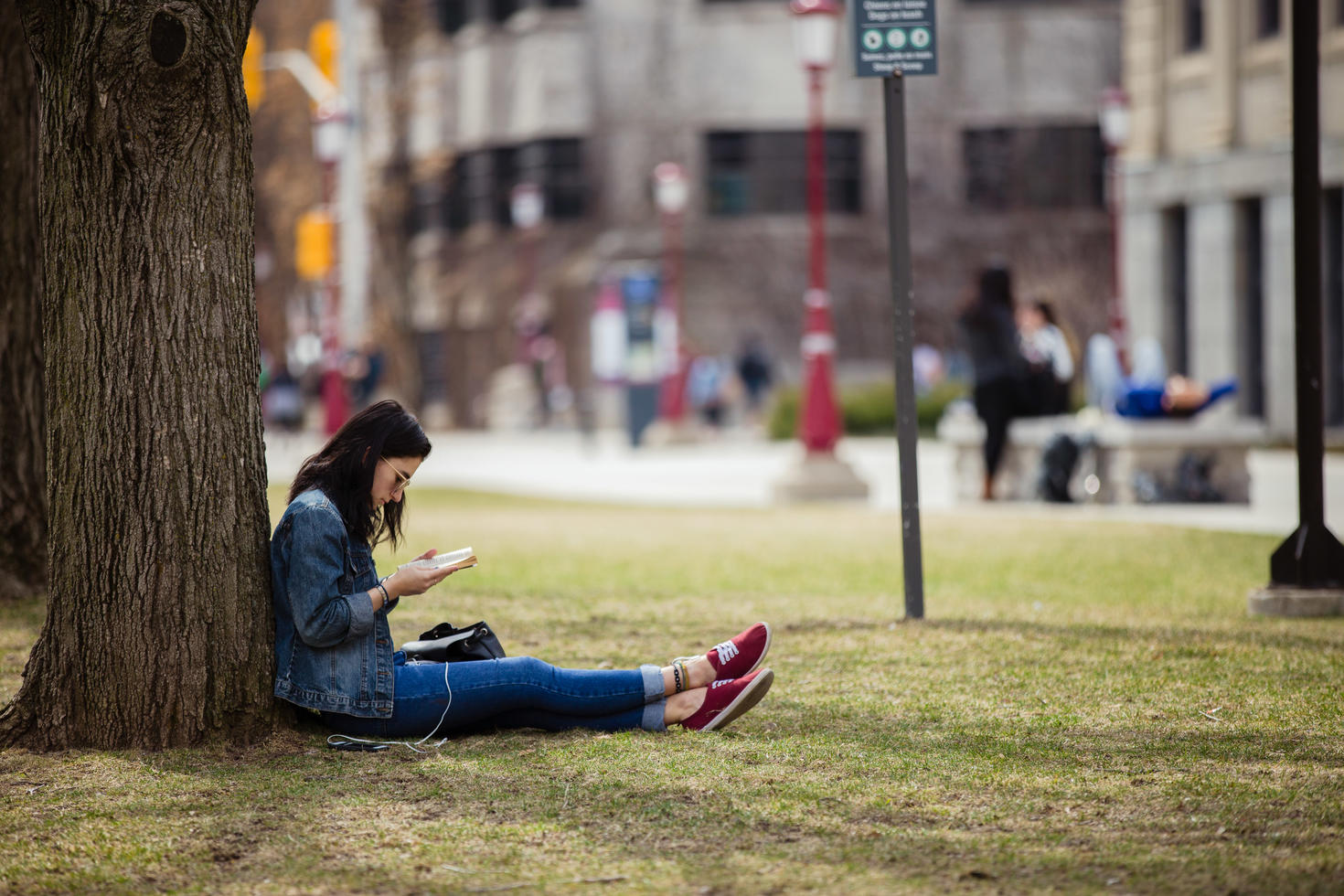 Student sitting on the lawn at the foot of a tree
