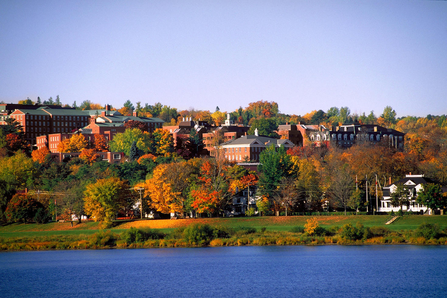 University of New Brunswick