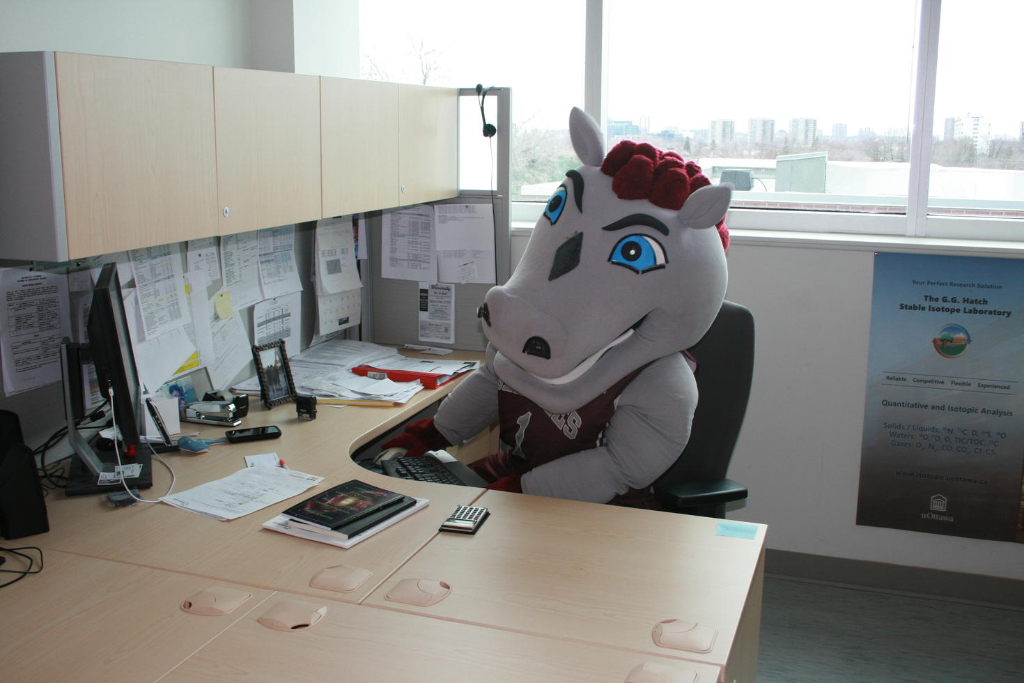 Gee Gees mascot sitting at office desk