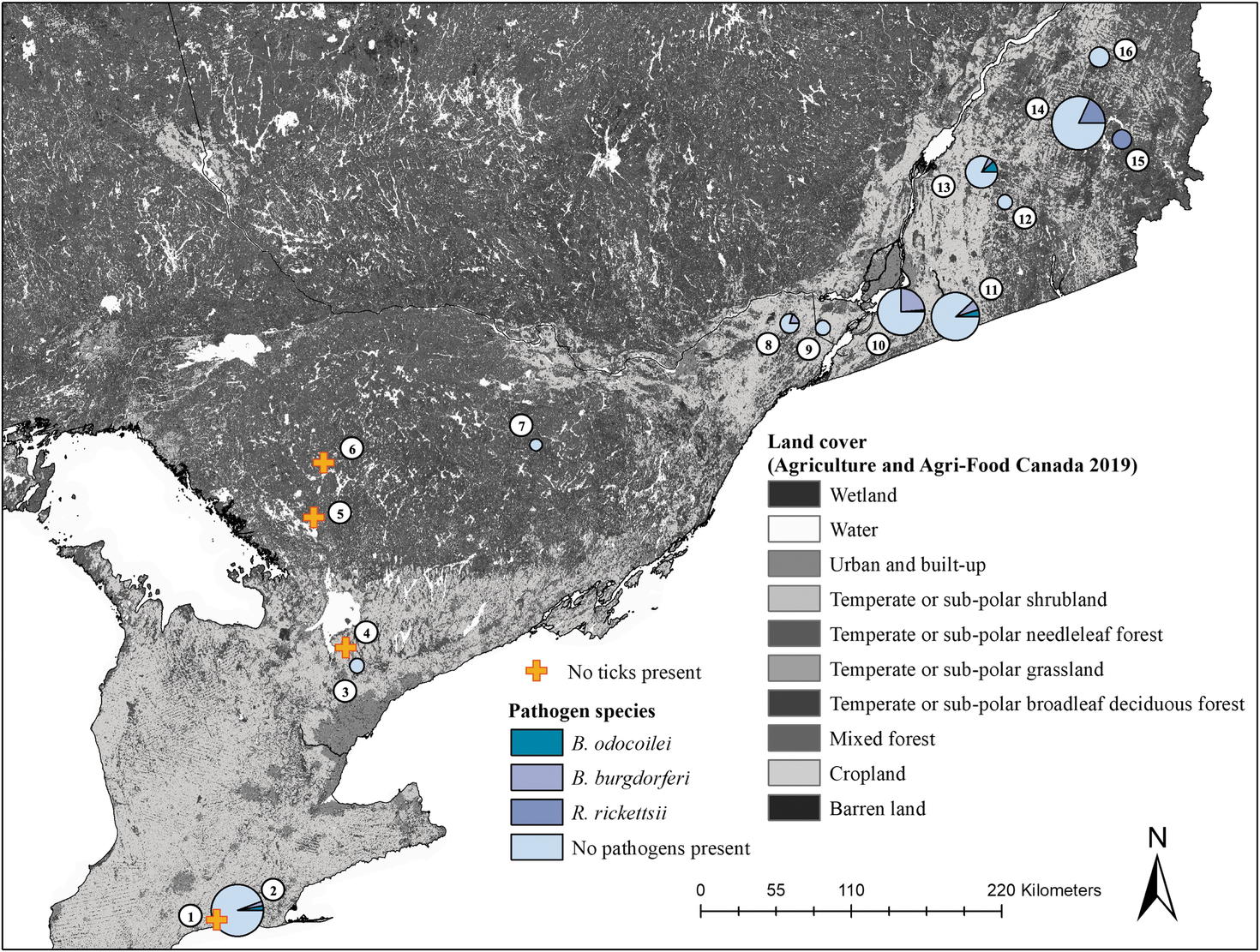 Pathogens detected in ticks at study sites in Ontario and Quebec, Canada