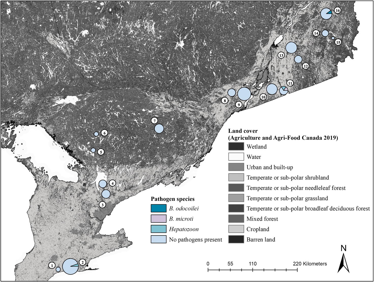 Pathogens detected in small mammals in Ontario and Quebec, Canada