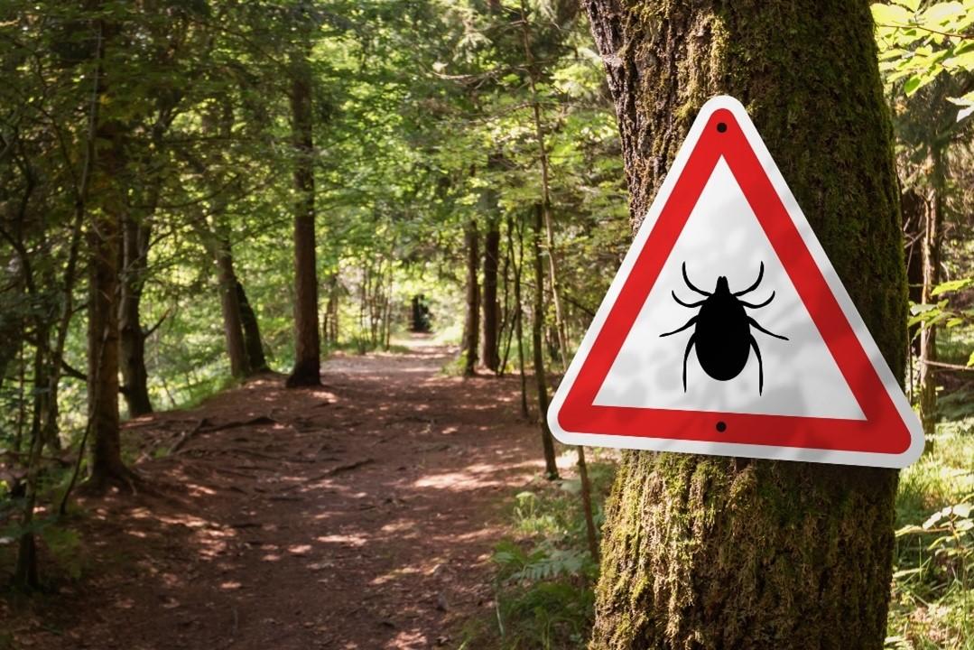 Sign warning of ticks in a forest
