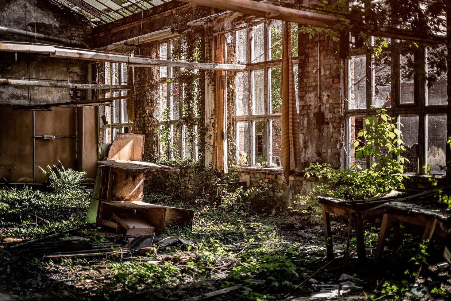 Room in abandoned building overgrown with vegetation
