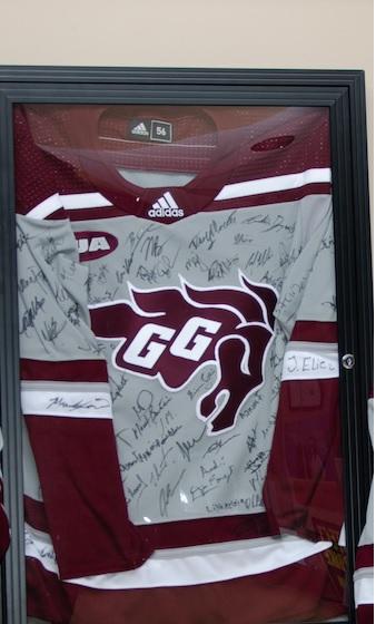 Gee Gees Jersey of courage