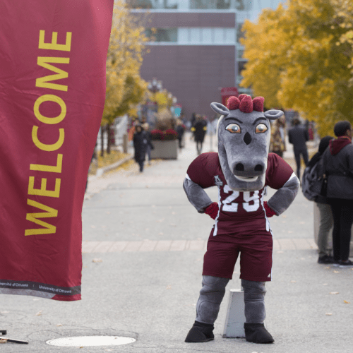 University of Ottawa · Mascot University of Ottawa Gee-Gee