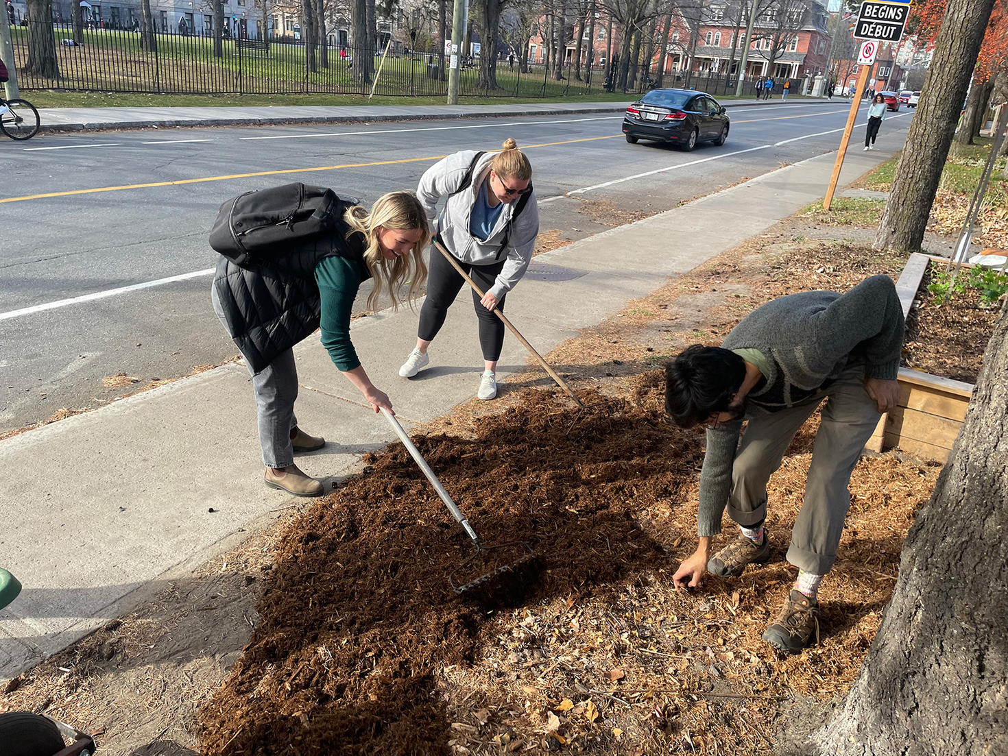 People raking garden