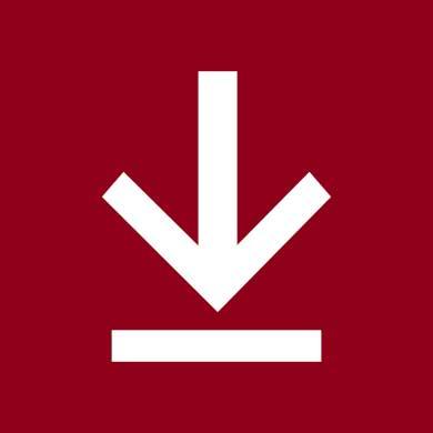 arrow down pointing a line as a download icon