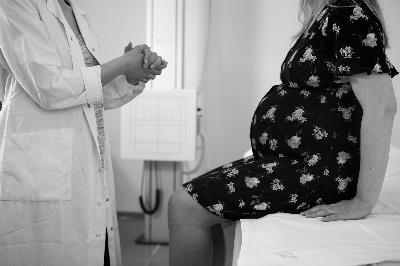 Doctor and pregnant patient speaking