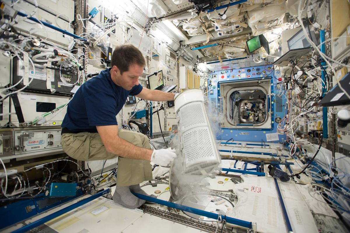 Astronaut Thomas Pesquet inserts blood samples for MARROW into the Minus Eighty-Degree Laboratory Freezer aboard the ISS