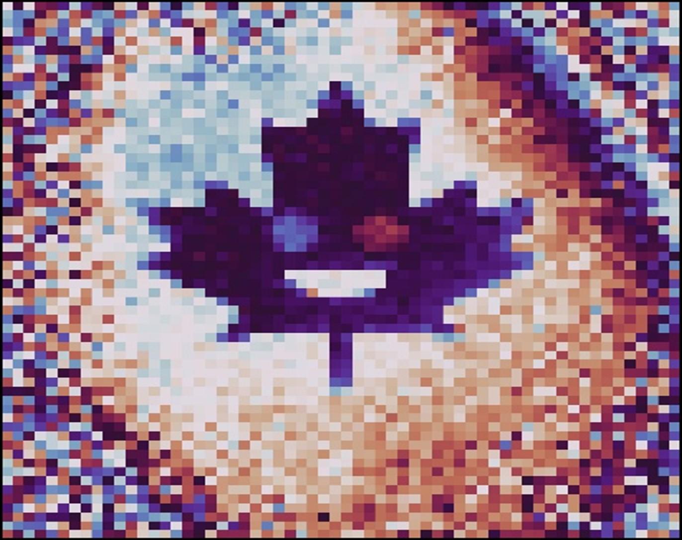 A digital hologram of a single photon carrying a maple leaf phase pattern