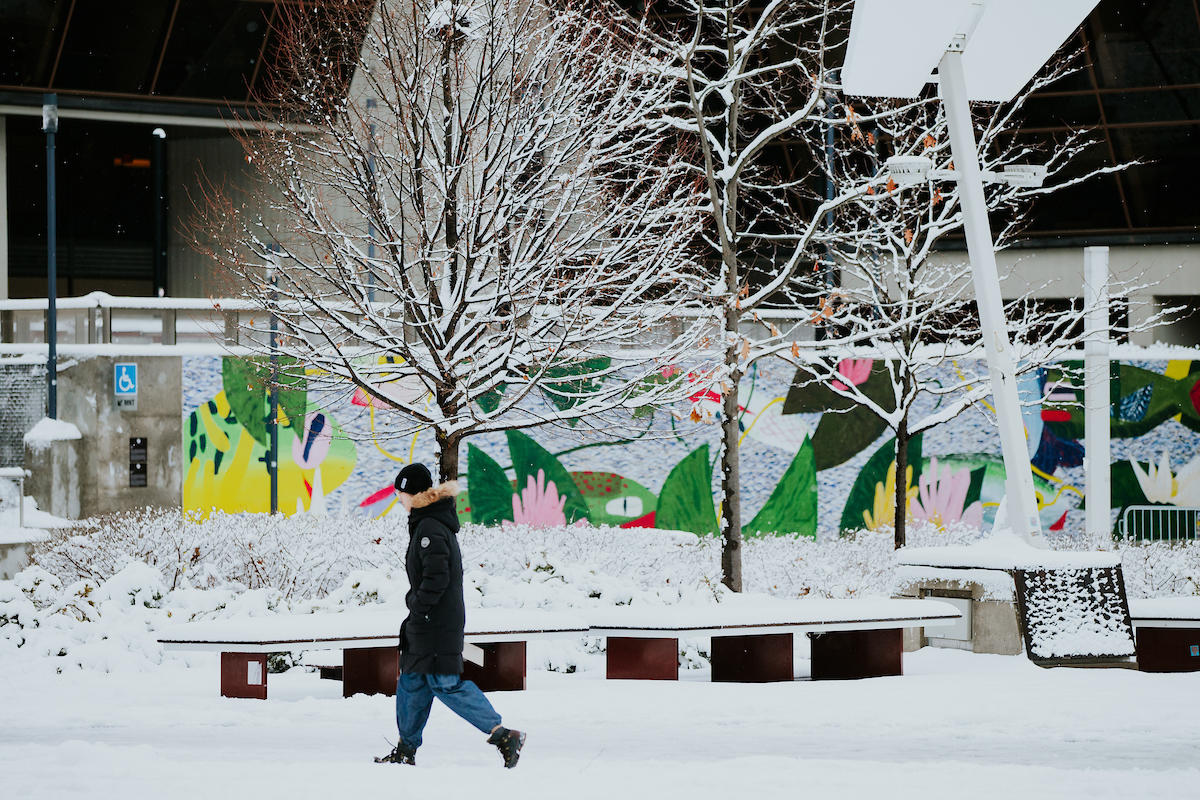 A person walking in the snow on campus