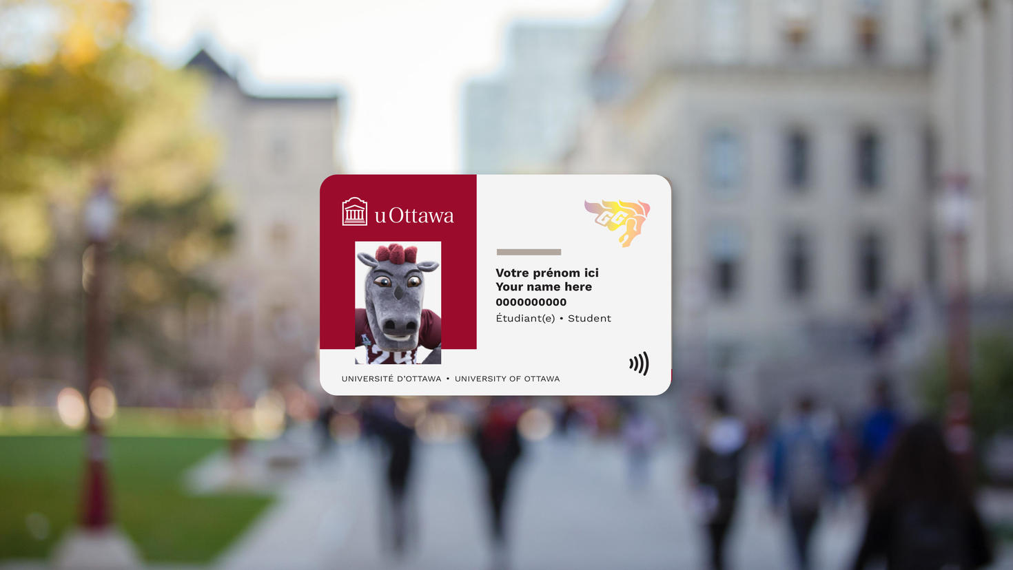uOttawa card on a blurry background.