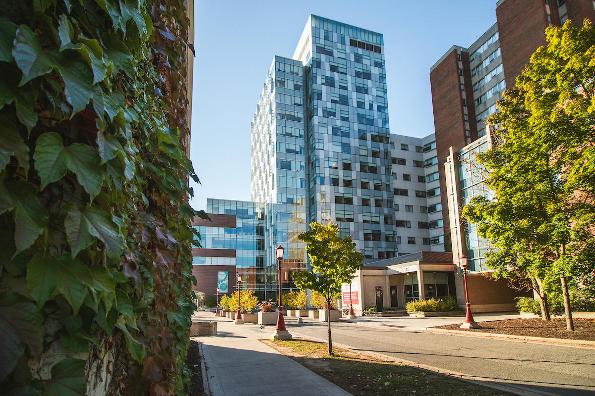 Campus view of the Faculty of Social Sciences (FSS)