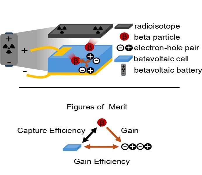 Graphical Abstract