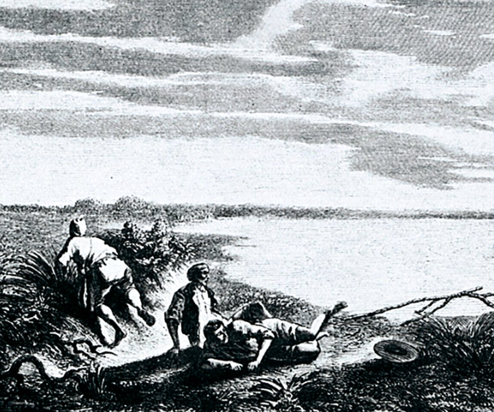 An allegory of malaria (illustration after Maurice Sand)