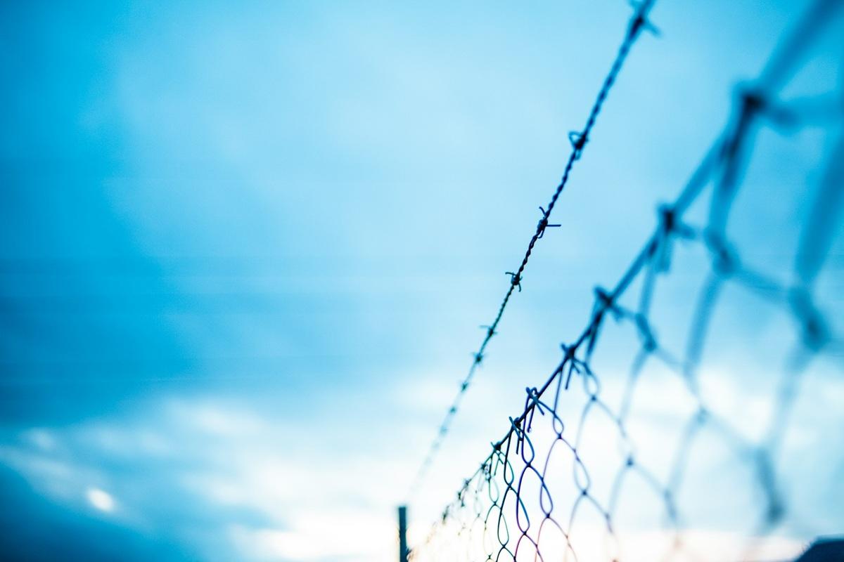 Barbed wire fence