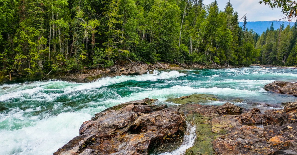 River winding through a forest