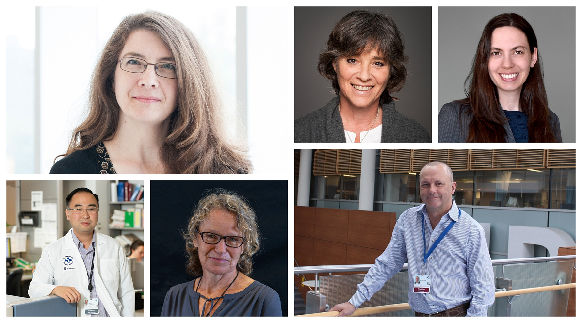 Collage of grant recipients