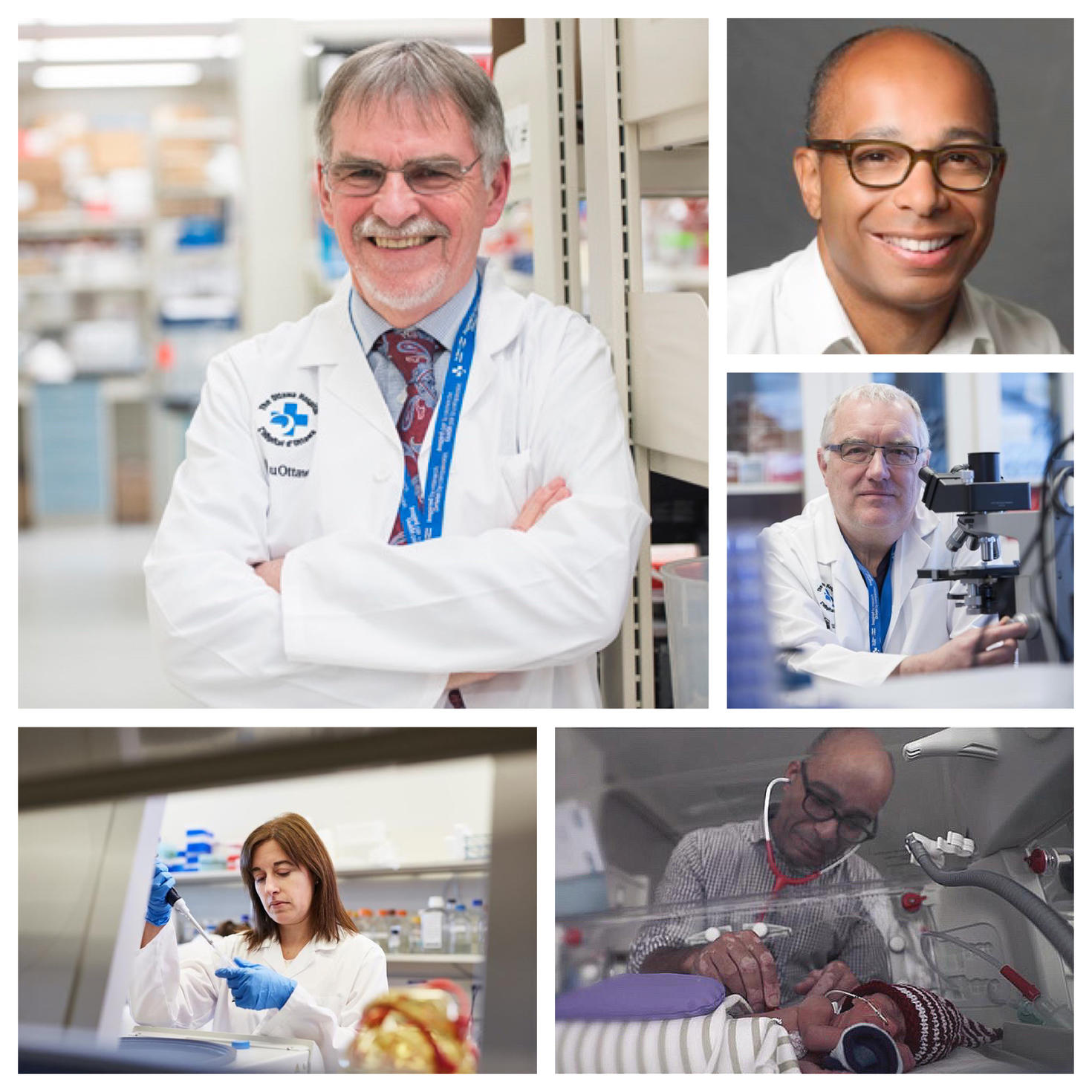 Photo collage of Dr. Stewart and team