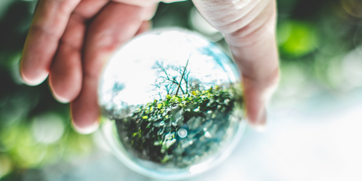 Science and innovation