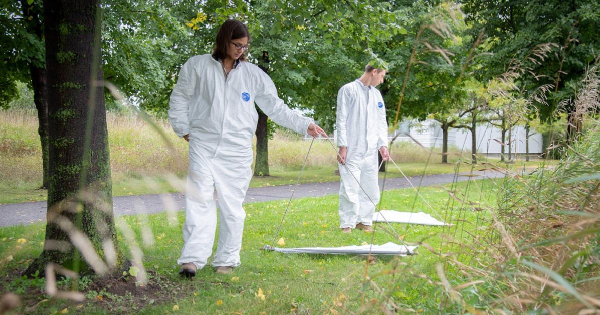 uOttawa researchers dragging for ticks