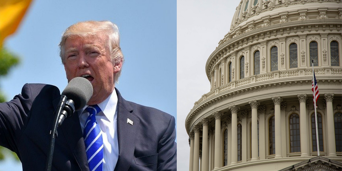 Collage of Donald Trump and Capitol building