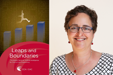 Teresa Scassa, Leaps and Boundaries report cover