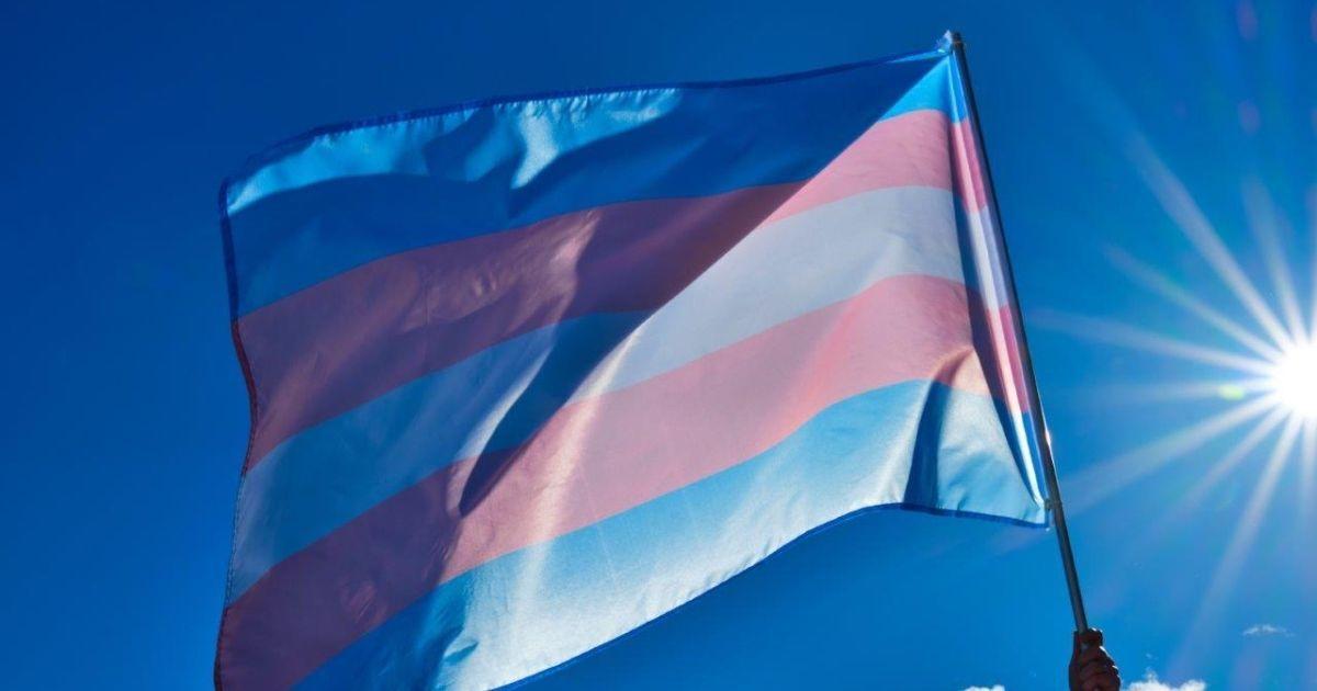 Trans flag in the wind
