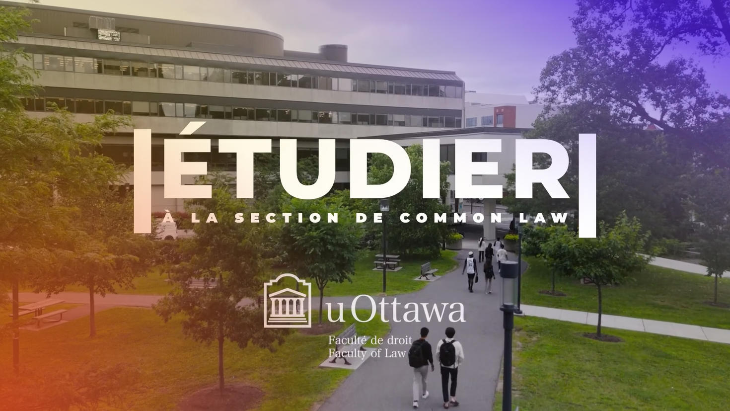 Étudier à la section de Common Law