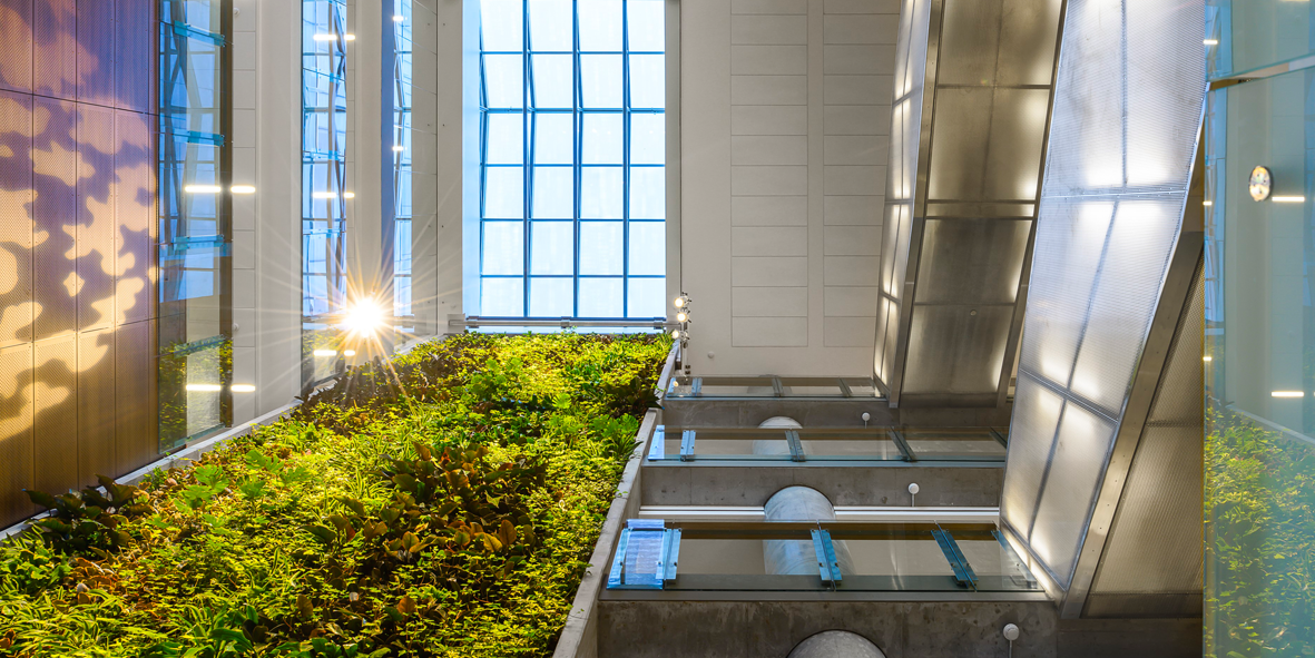 Green wall in Faculty of Social Sciences Building