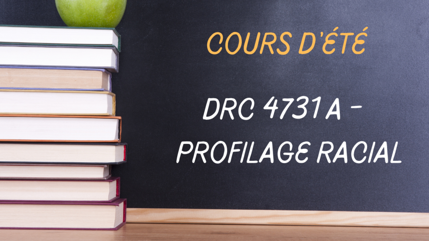 La Section de droit civil offre un nouveau cours d’été sur le profilage racial en partenariat avec la Clinique juridique de Saint-Michel