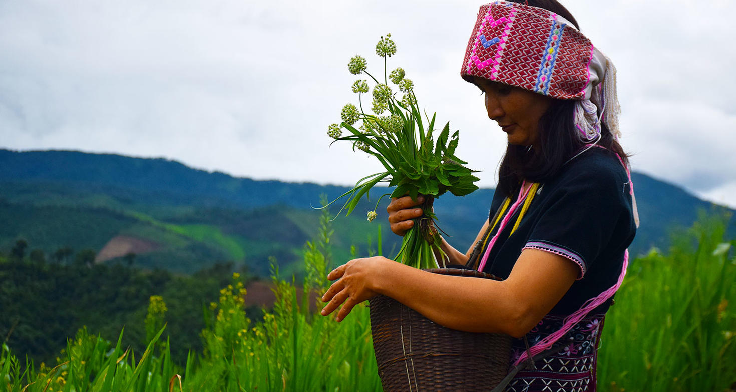 Femme cueillant des plantes