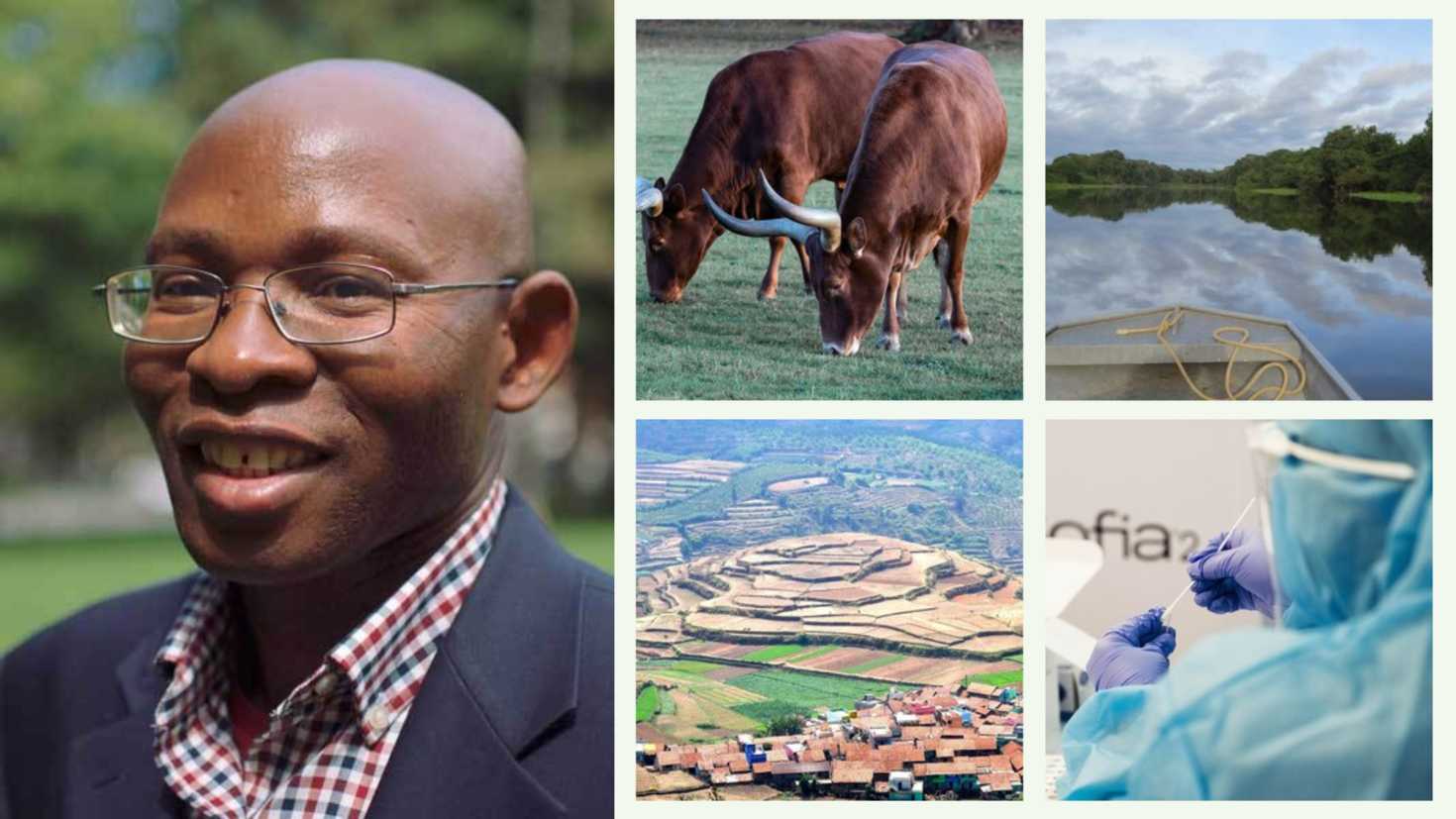 Chidi Oguamanam, images of cows, a lake, farming, medical test