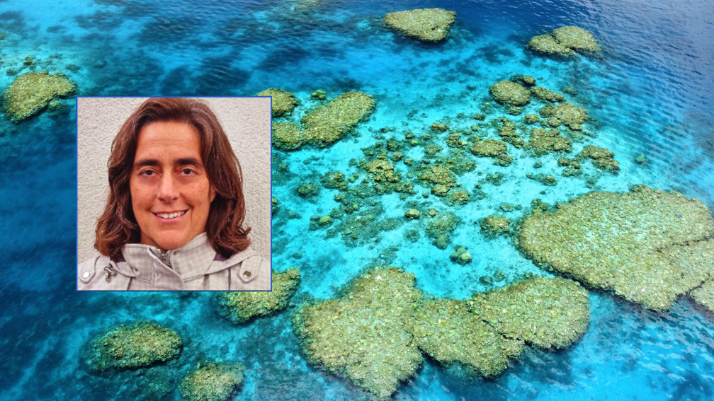 A photo of the professor Marel Katsivela inset against a background photo of an ocean with green islands