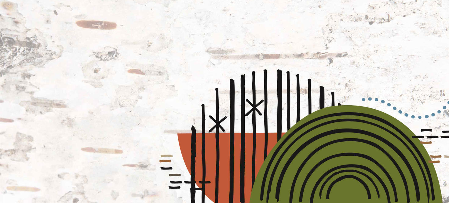 Texture de l'écorce de bouleau.